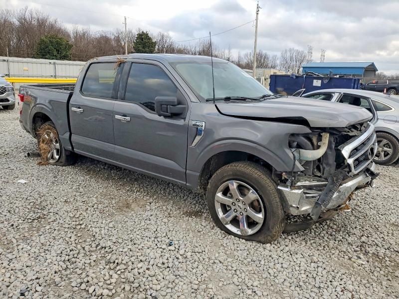 2021 Ford F150 Supercrew