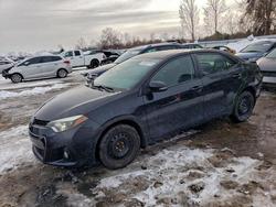 Salvage cars for sale from Copart London, ON: 2015 Toyota Corolla l