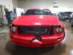 2005 Ford Mustang gt