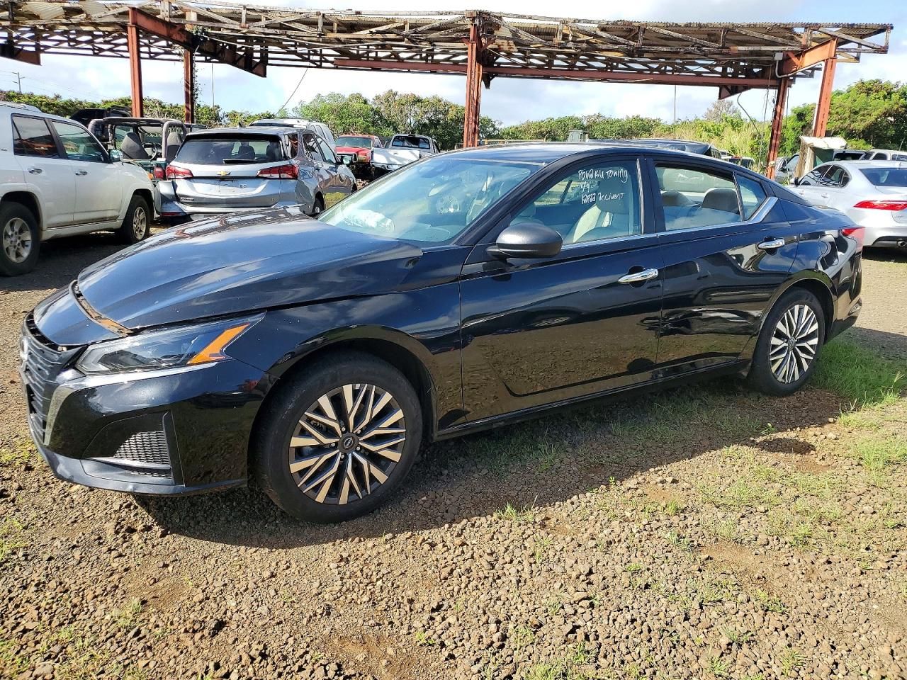 2025 Nissan Altima sv