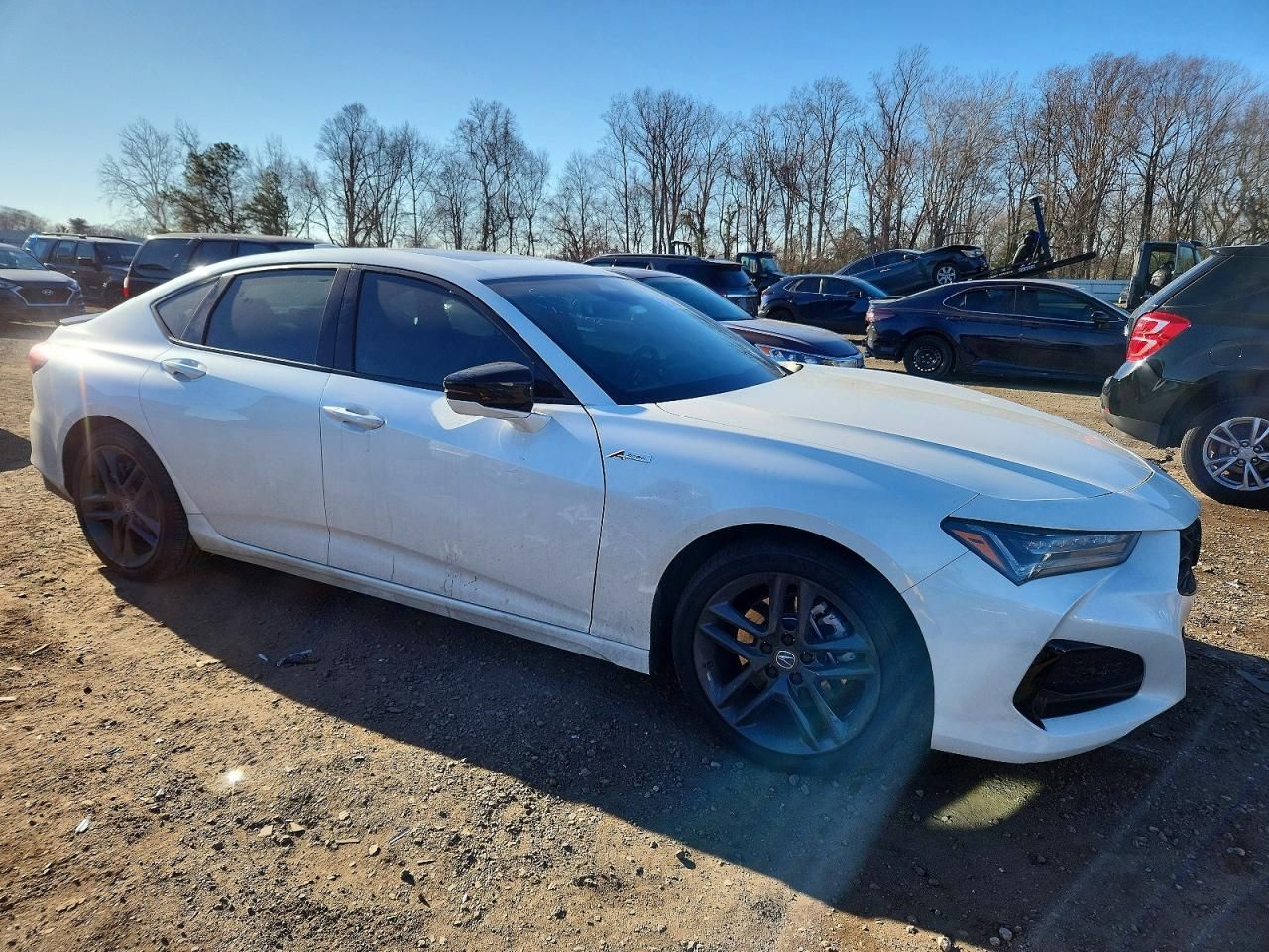 2024 Acura Tlx A-spec