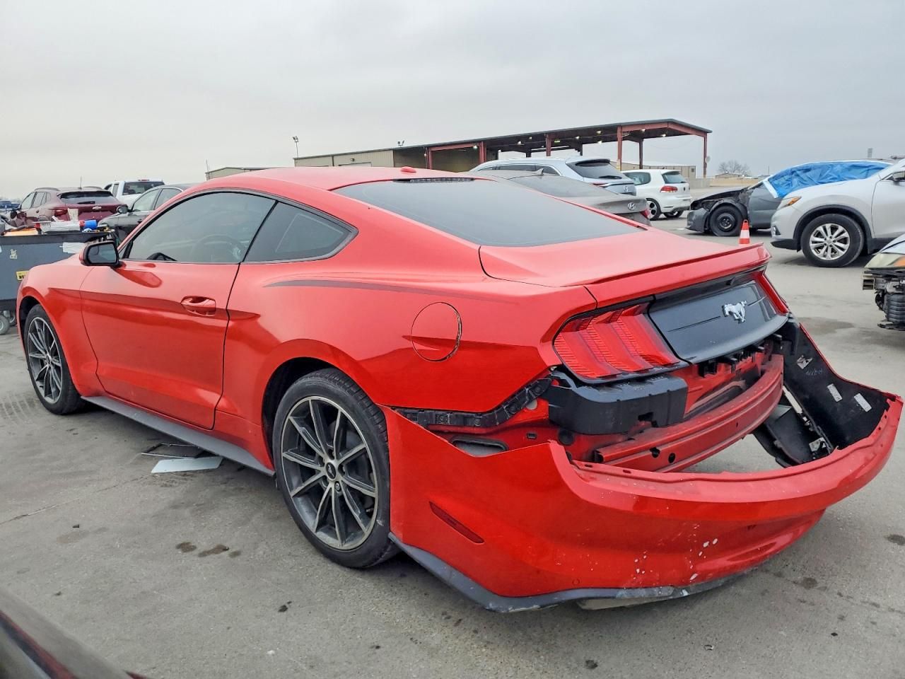 2019 Ford Mustang