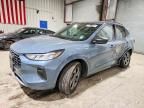 2024 Ford Escape st Line