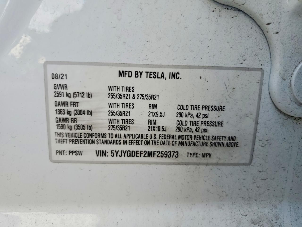 2021 Tesla Model y