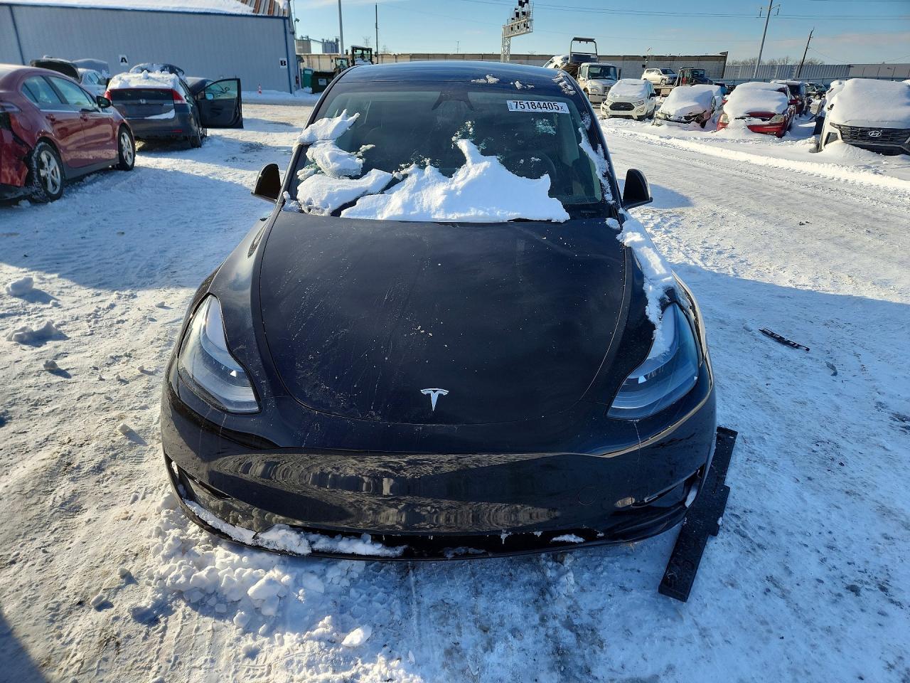 2025 Tesla Model y