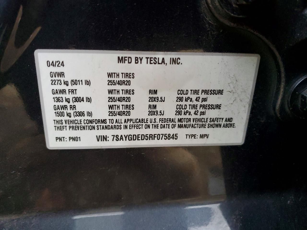 2024 Tesla Model y