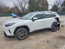 2024 Toyota Rav4 Limited for sale in Madisonville, TN