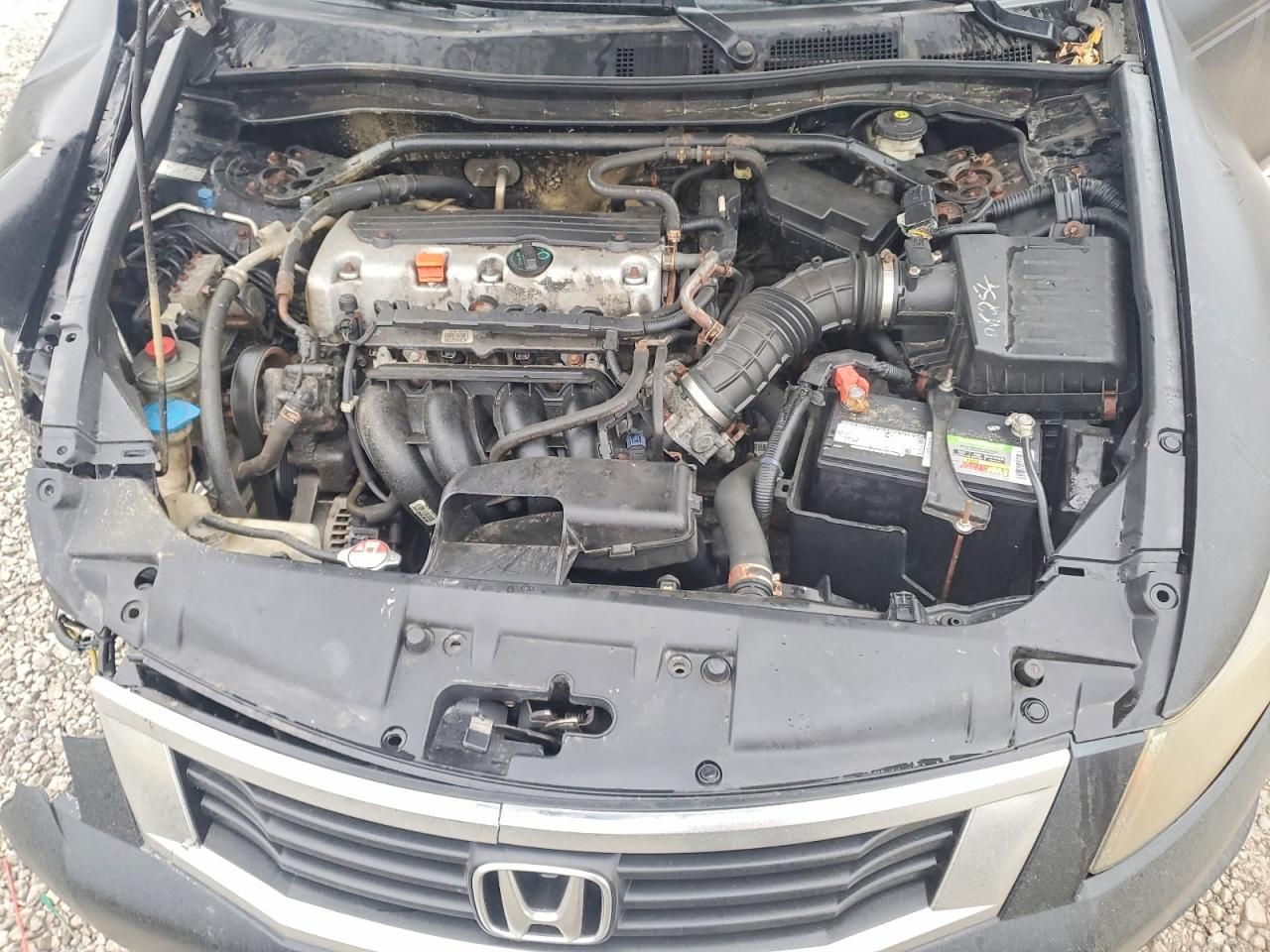 2010 Honda Accord exl