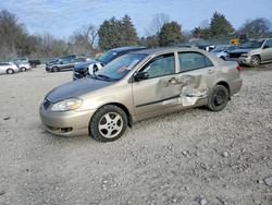 2005 Toyota Corolla ce for sale in Madisonville, TN