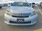 2010 Lexus Hs 250h
