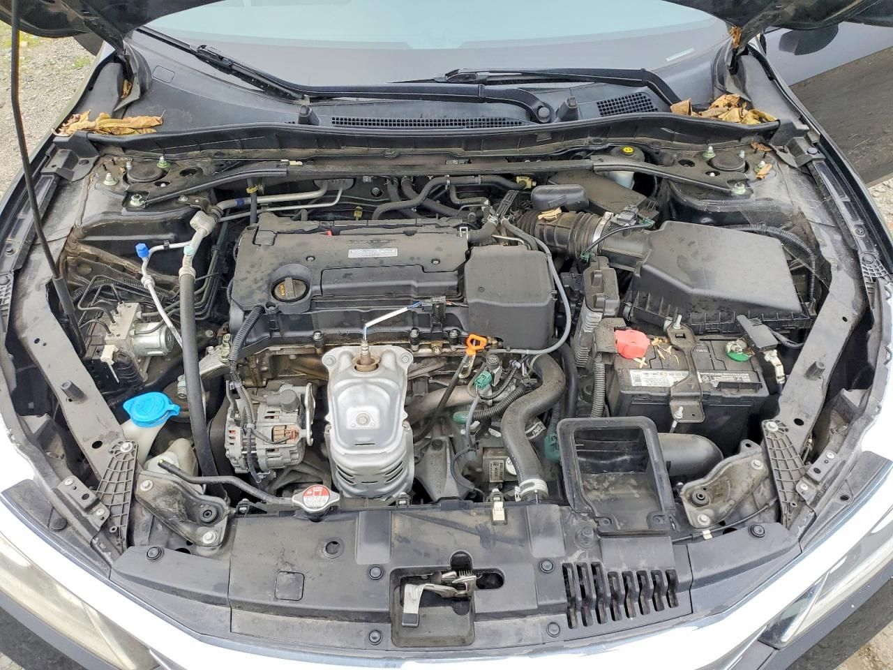 2017 Honda Accord Sport Special Edition