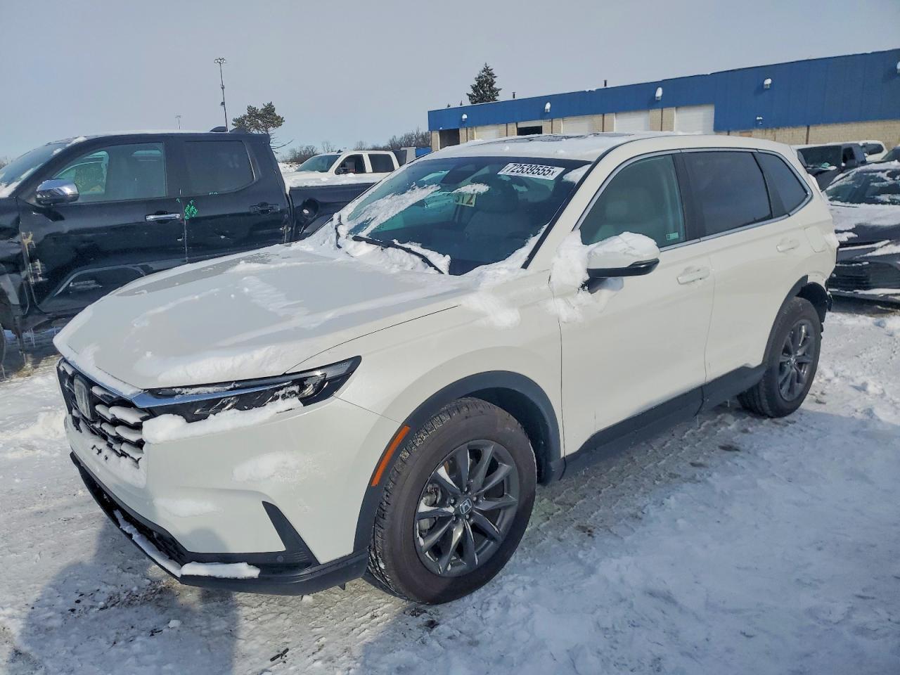 2026 Honda Cr-v exl