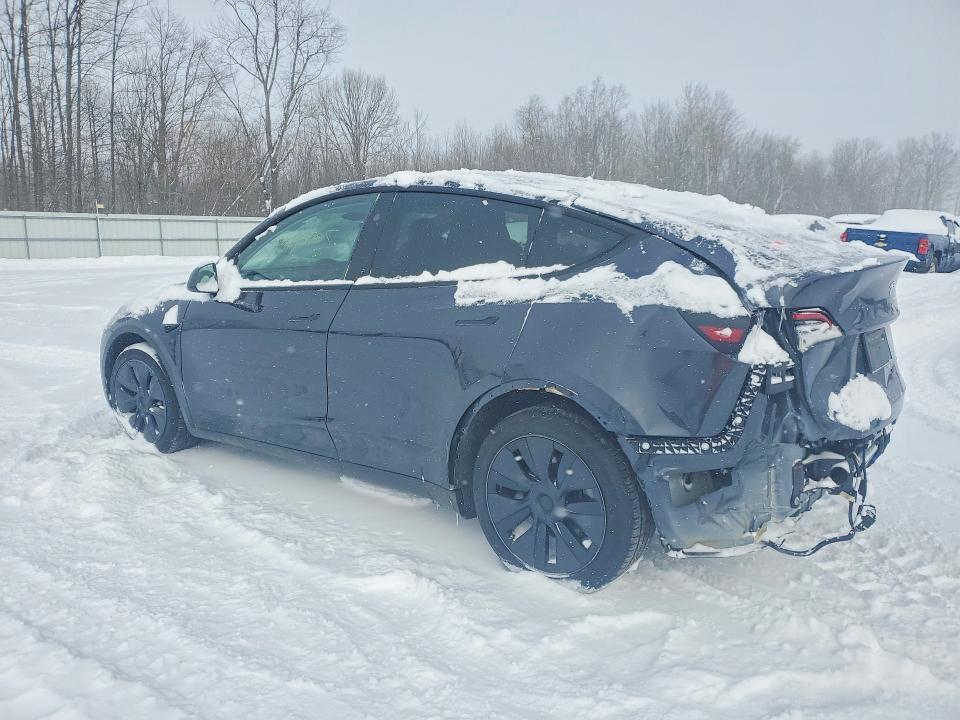 2025 Tesla Model y