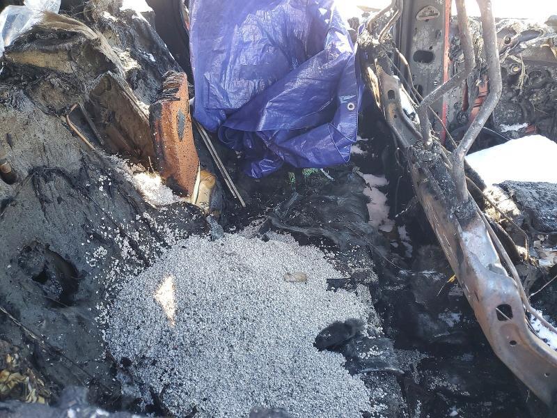 2024 Ford Escape st Line