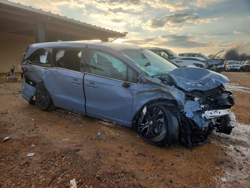 2025 Honda Odyssey Sport-l