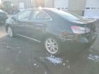 2010 Lexus Hs 250h