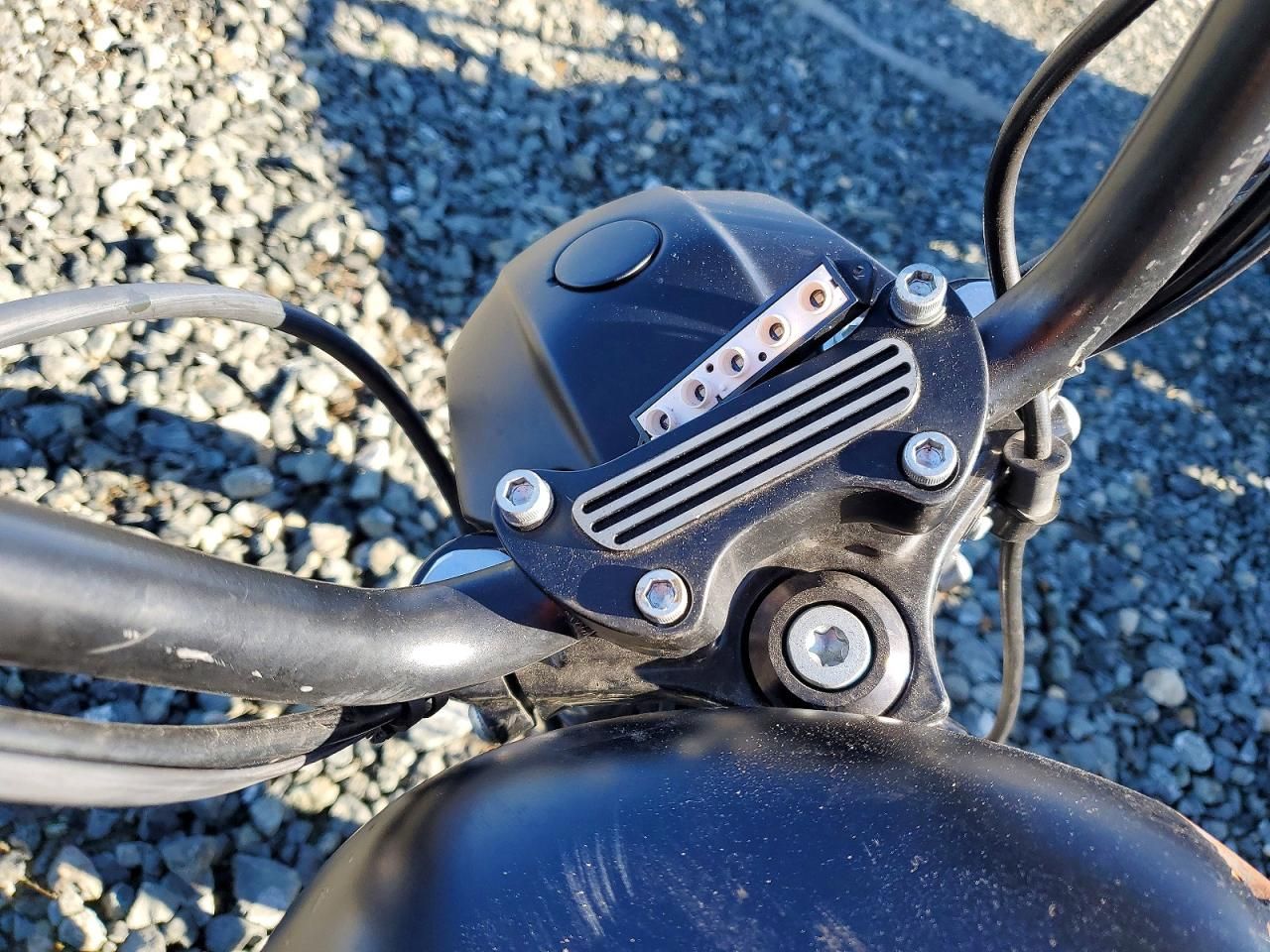 2020 Harley-Davidson XL883 N