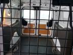 2020 Ford Transit Connect XLT