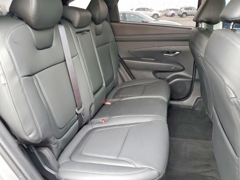 2025 Hyundai Tucson sel