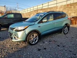 Vehiculos salvage en venta de Copart Walton, KY: 2013 Ford Escape sel