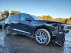 2024 Acura Rdx Technology
