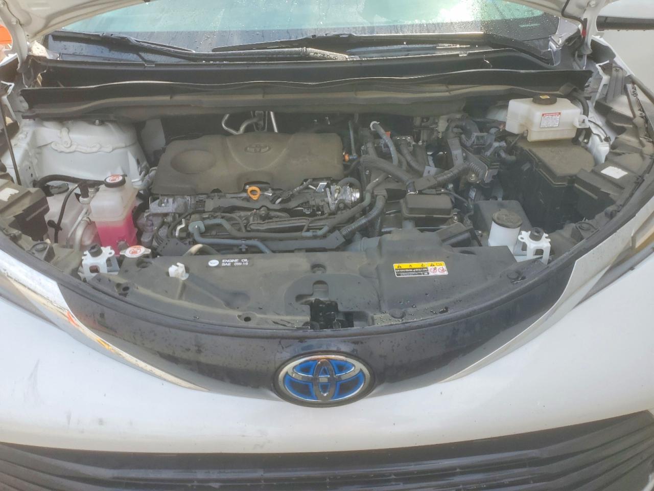 2023 Toyota Sienna xle