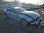 2005 Ford Mustang gt
