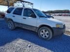 2005 Ford Escape xlt