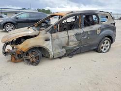 Ford Escape salvage cars for sale: 2016 Ford Escape se