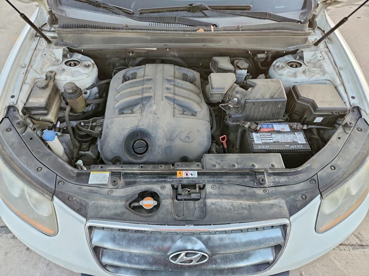 2009 Hyundai Santa fe se