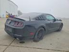 2013 Ford Mustang