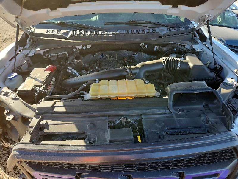 2019 Ford F150 Raptor