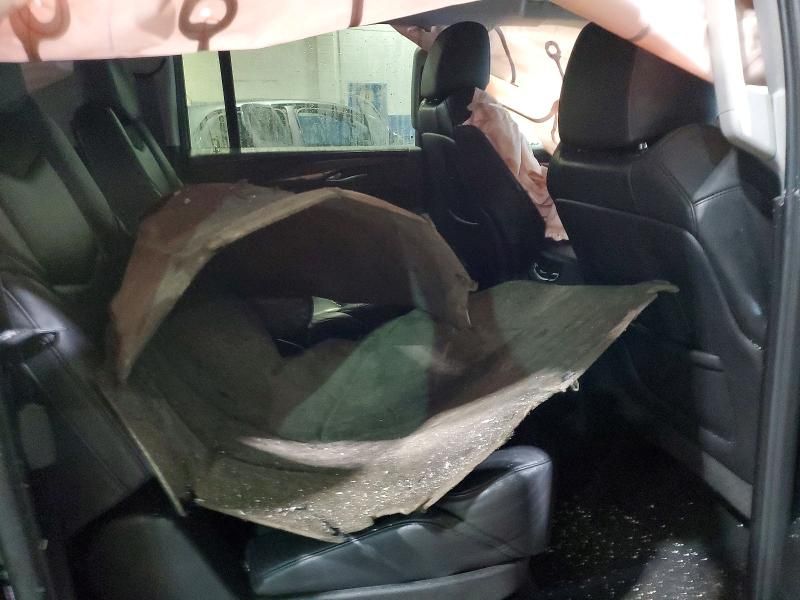 2019 Cadillac Escalade esv