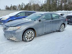 Salvage cars for sale from Copart Cookstown, ON: 2013 Lexus Es 300h