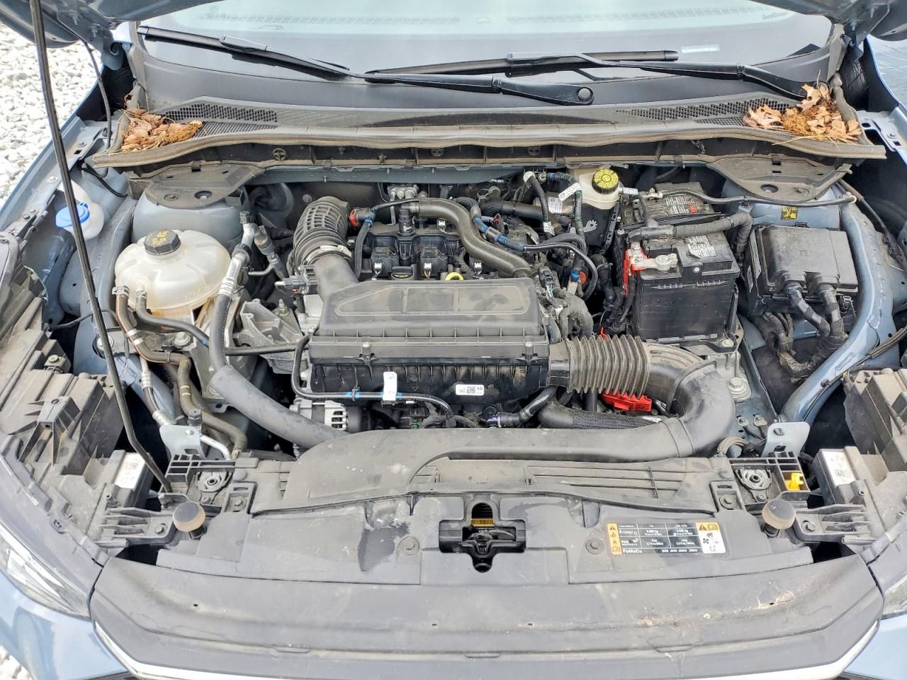 2023 Ford Escape st Line