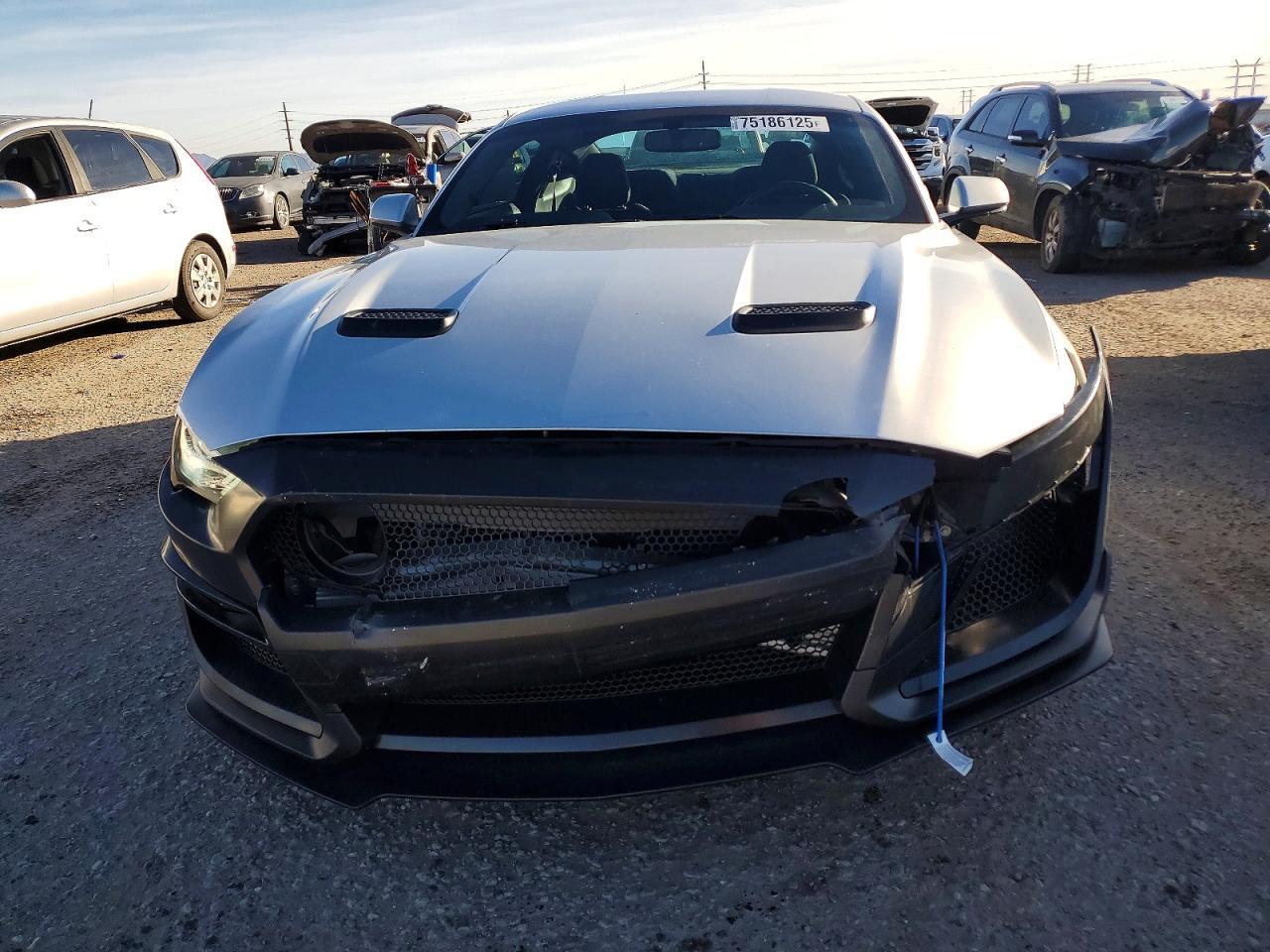 2019 Ford Mustang gt