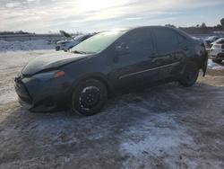 2017 Toyota Corolla l for sale in Fredericksburg, VA