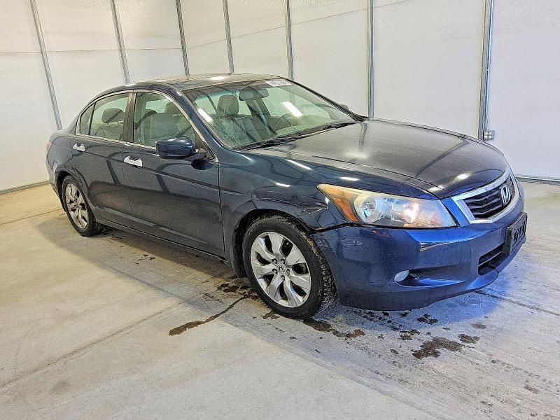 2010 Honda Accord exl