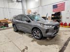 2024 Ford Escape st Line