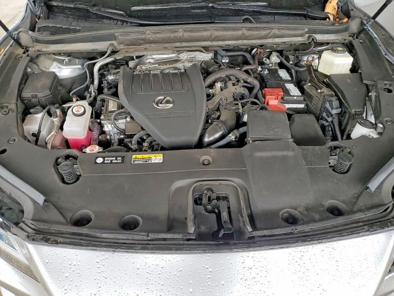 2024 Lexus Rx 350 Base