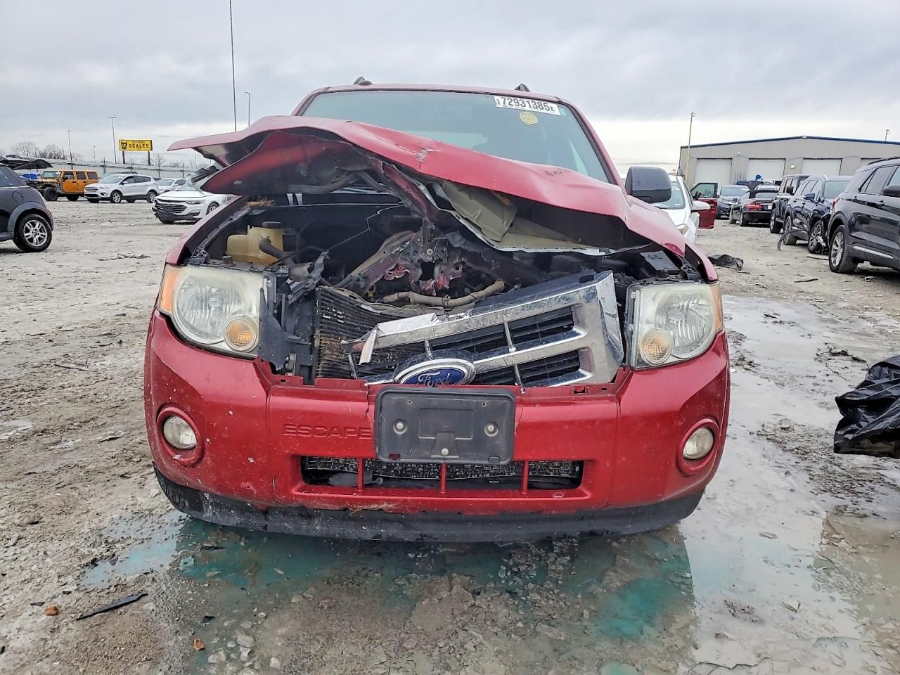 2010 Ford Escape xlt
