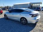 2022 Nissan Maxima sv