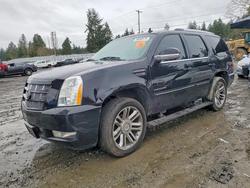 Cadillac Escalade salvage cars for sale: 2014 Cadillac Escalade Premium