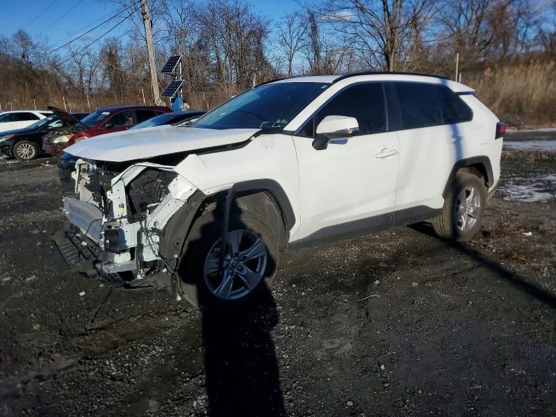 2025 Toyota Rav4 xle