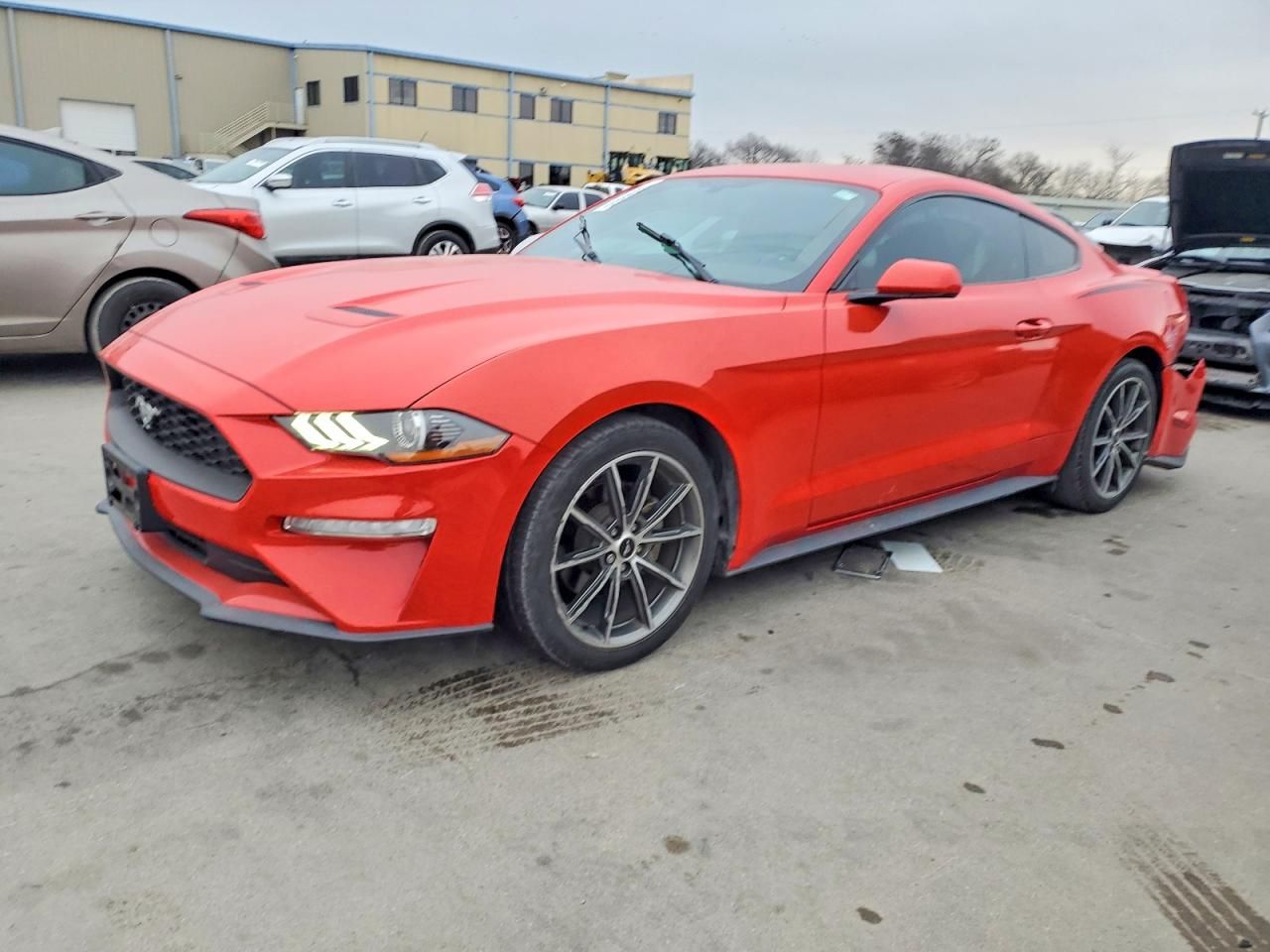 2019 Ford Mustang