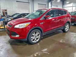 Salvage cars for sale from Copart Ham Lake, MN: 2015 Ford Escape Titanium