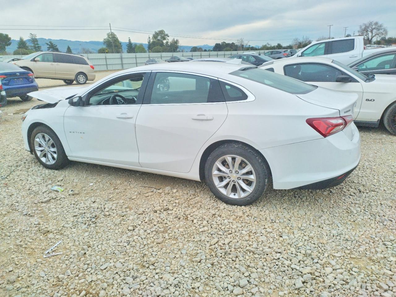 2019 Chevrolet Malibu lt
