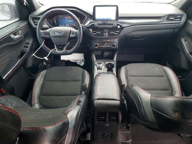 2025 Ford Escape st Line