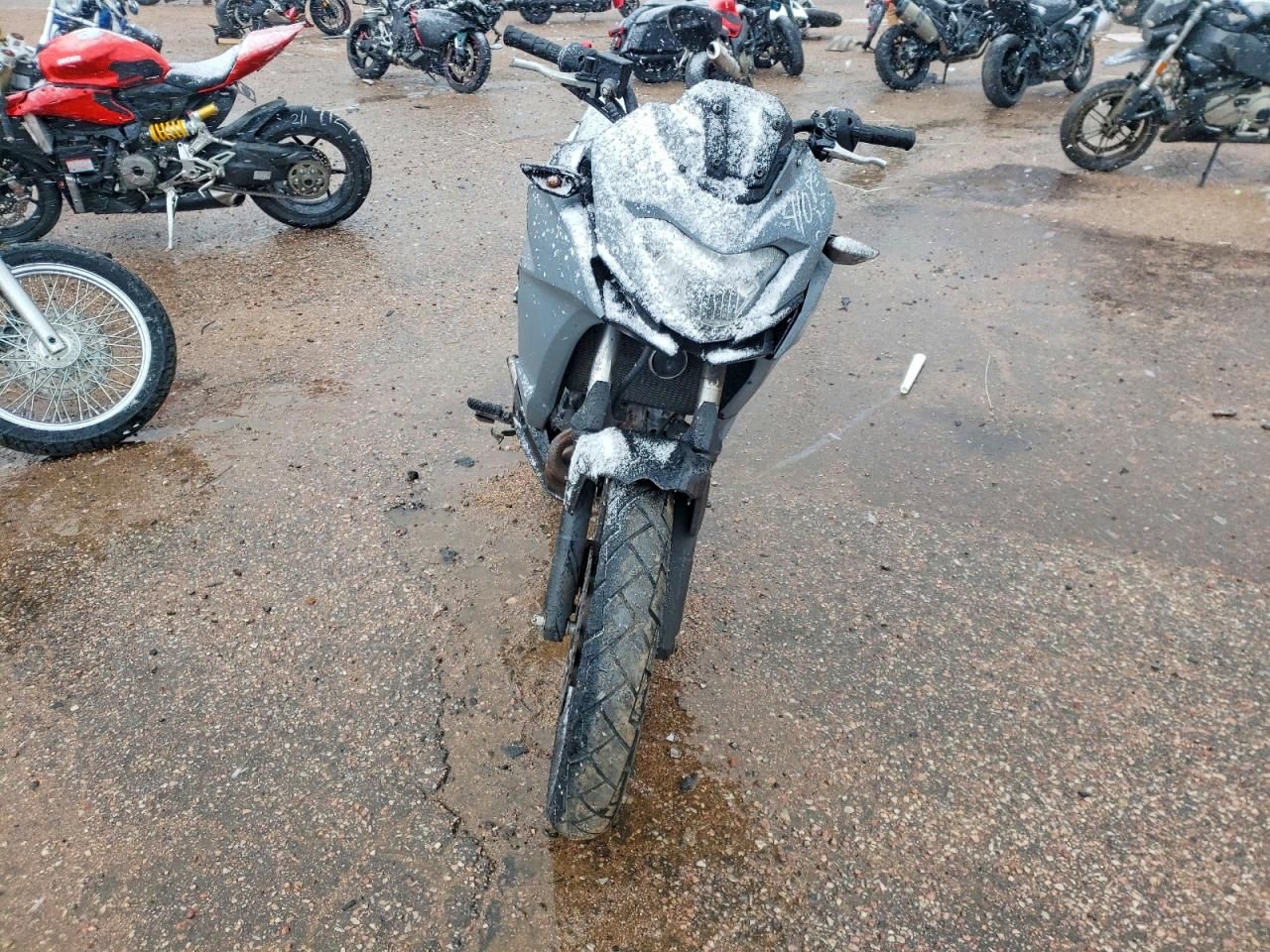 2020 Kawasaki KLE300 B