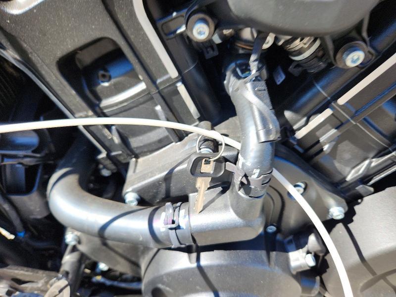 2025 Indian Motorcycle Co. Scout